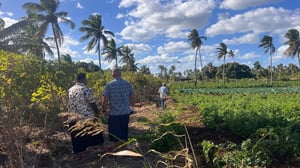 RSE the lifeline of the Pacific